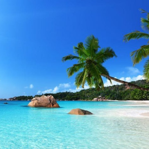 Mombasa coastal adventure